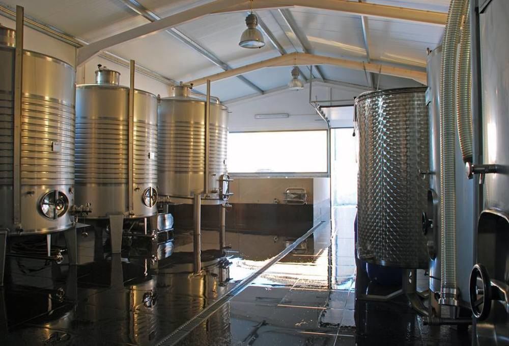Casa Das Castas Wine Guesthouse Vermiosa Екстер'єр фото